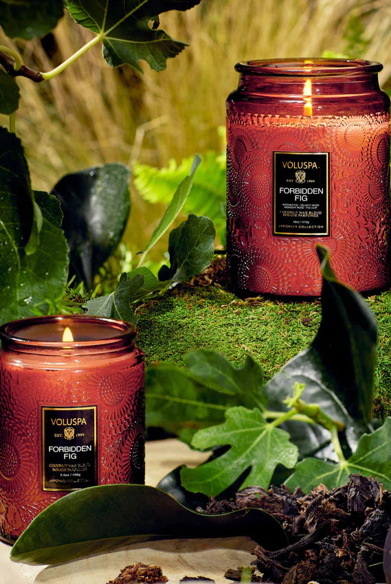 Voluspa Small Jar Candle - Forbidden Fig 156g - hvittrad.no