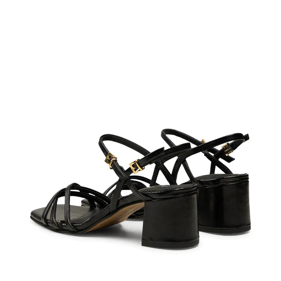 Pavement Tindra Black - hvittrad.no