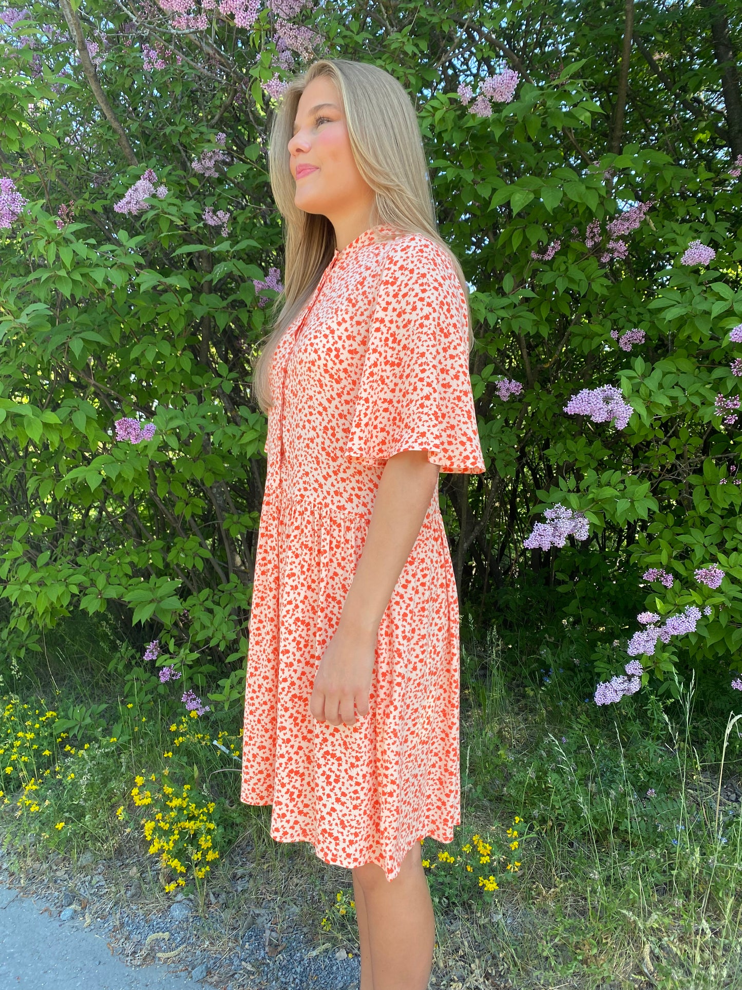 Declany-M Dress Sevitta Print Pink