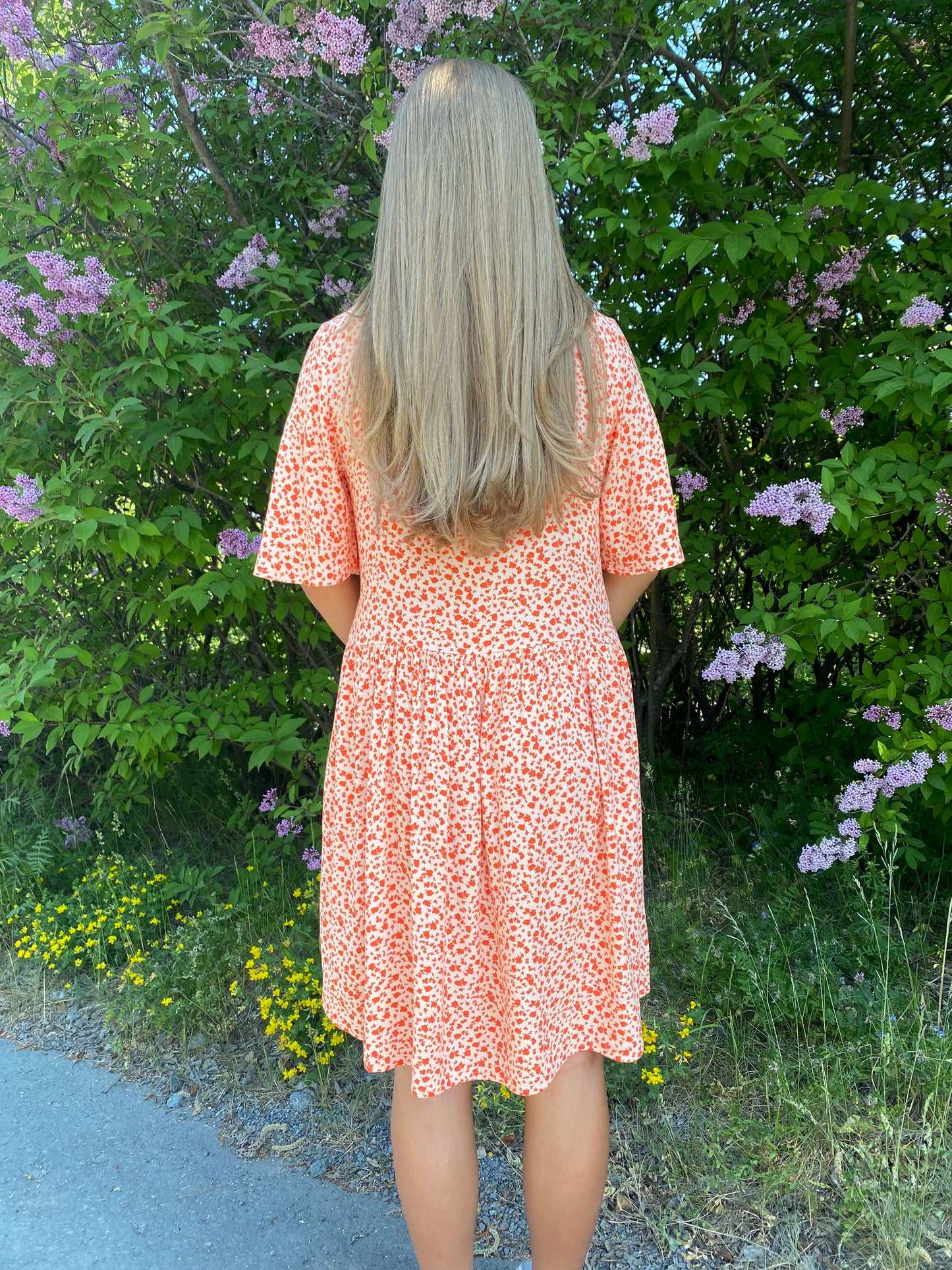 Declany-M Dress Sevitta Print Pink