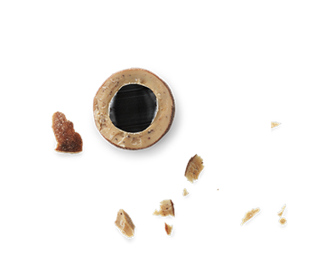 D - Salt & Caramel Small 125g