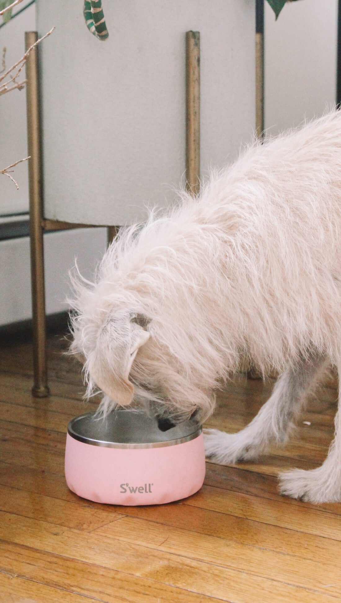 Dog Bowl Pink Topaz 16oz/473ml
