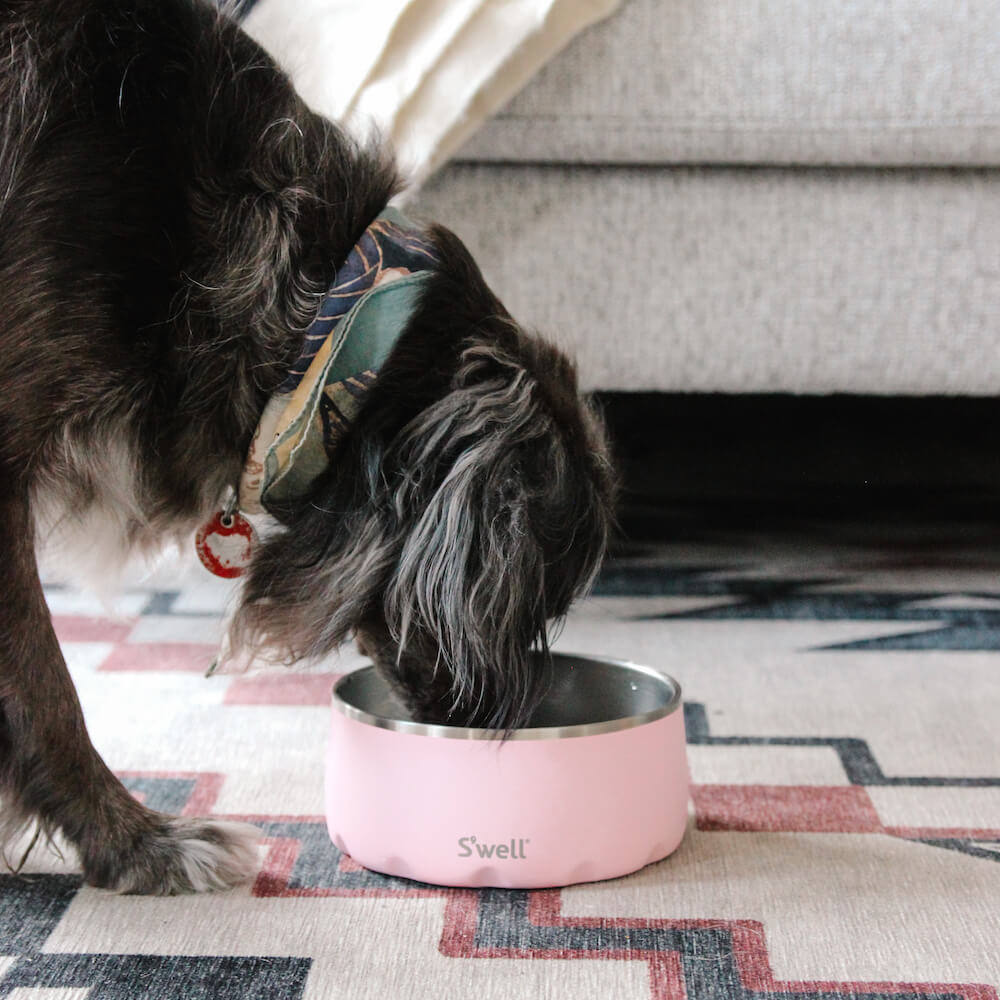 Dog Bowl Pink Topaz 16oz/473ml