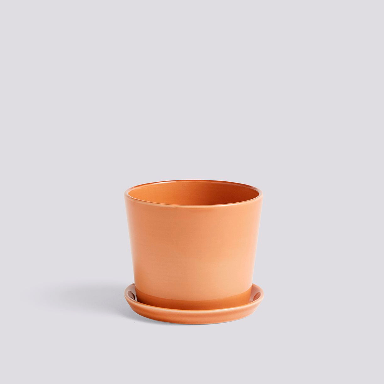 Botanical Family Set M Caramel