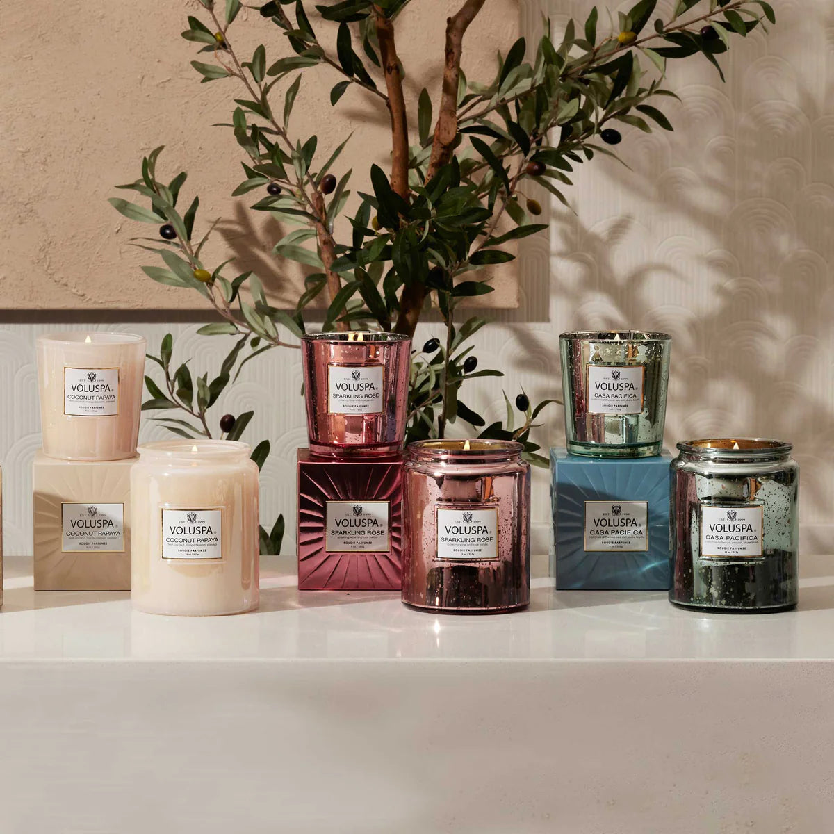 Classic Candle – Coconut Papaya 255g