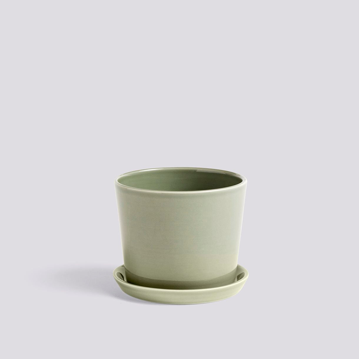 Botanical Family Set M Dusty Green