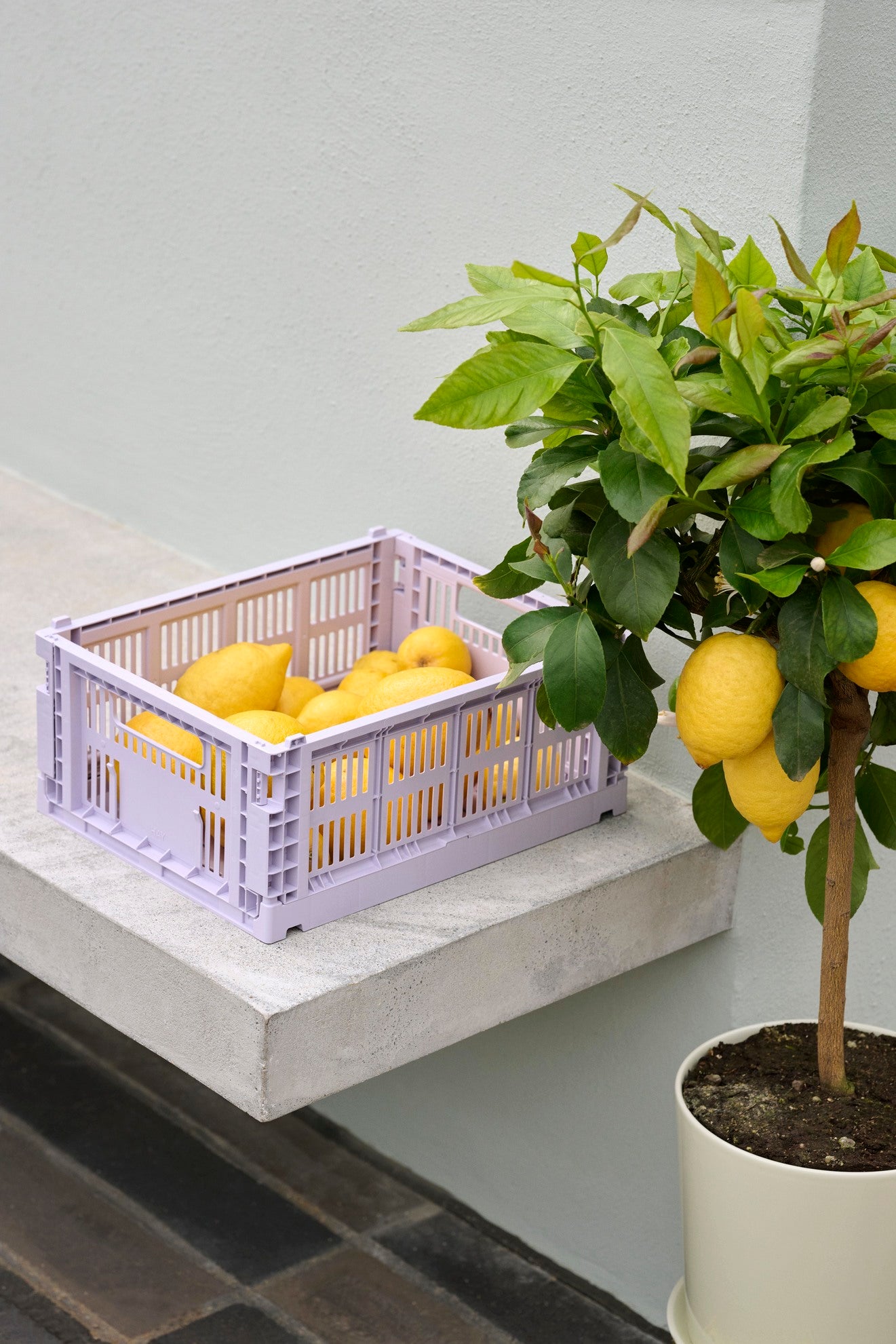 Colour Crate S Lavender