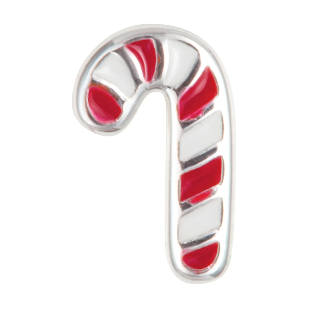 Suger Cane 1 Pcs Silver Plated Silver