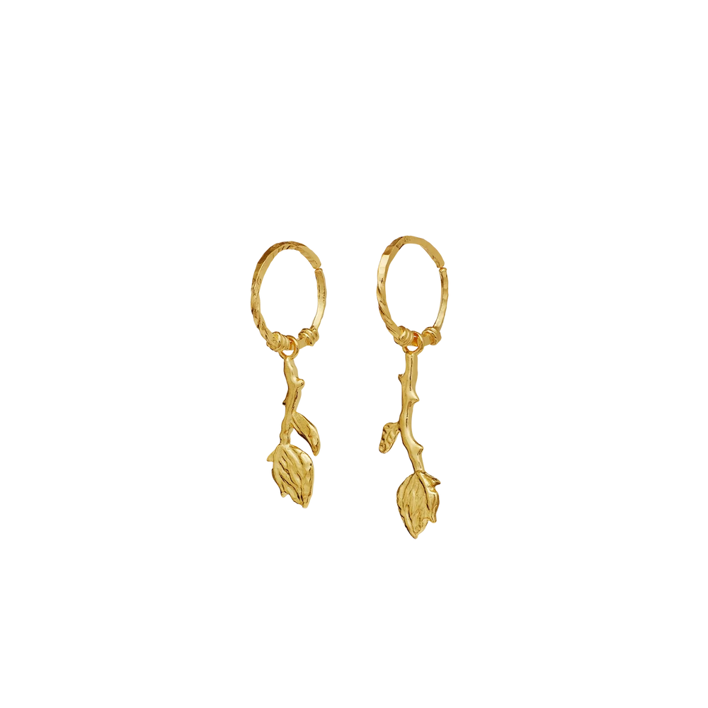 Rory Earrings Gold