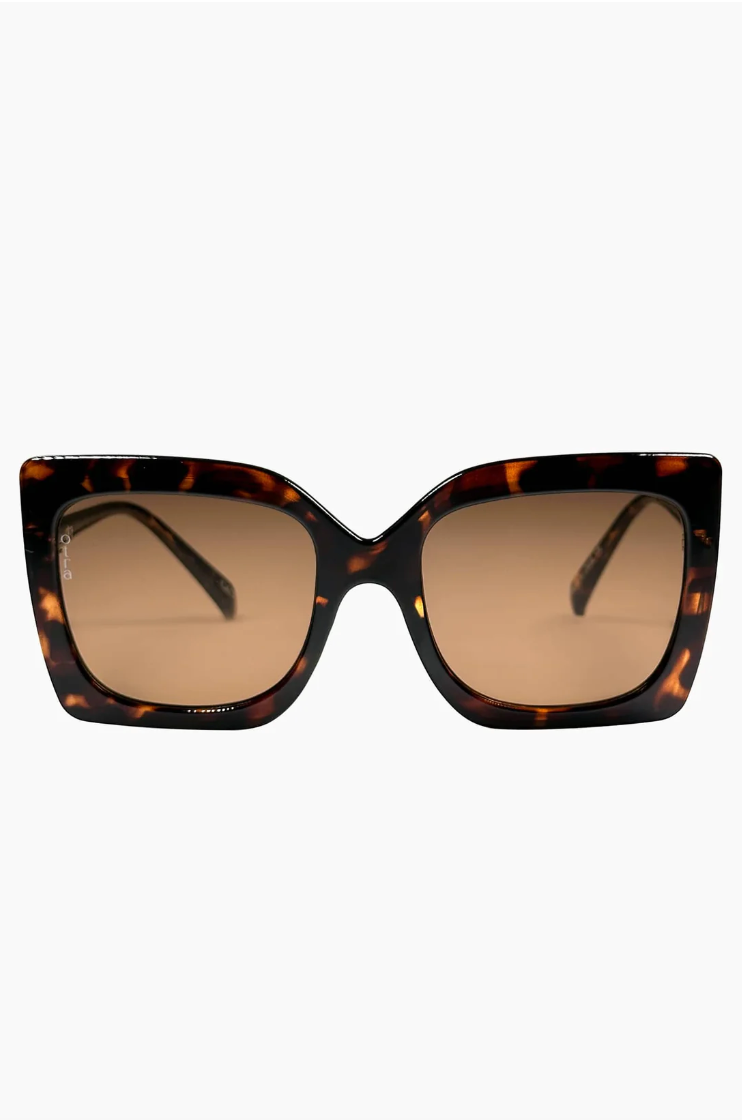 Dynasty Tortoiseshell