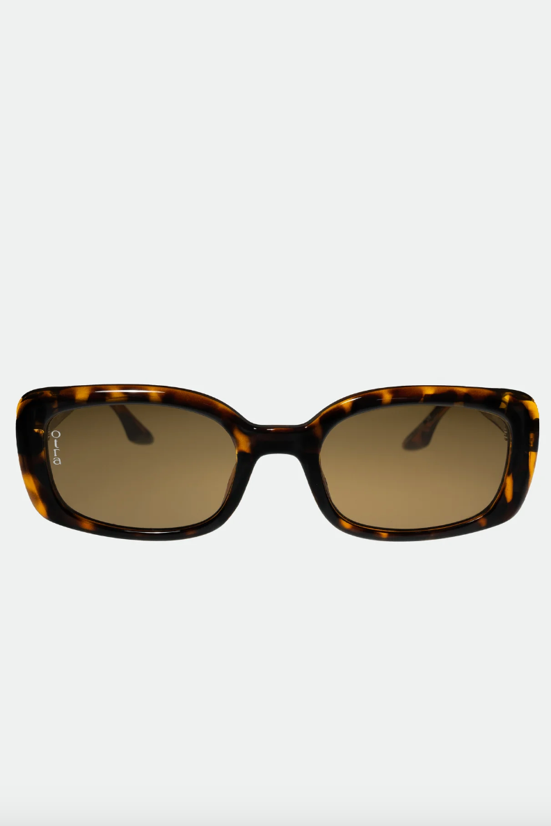 Daisy Tortoiseshell
