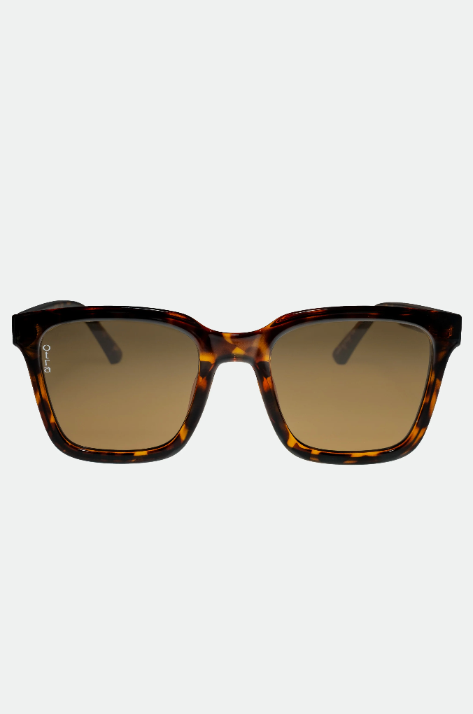 Fyn Tortoiseshell