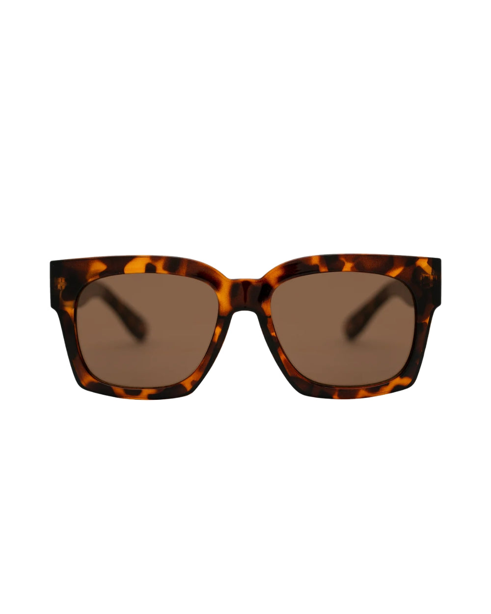 Alba Tort/Brown Ny