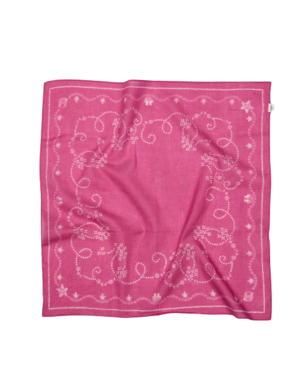 Anglaisia Cotta Scarf Cone Flower Pink