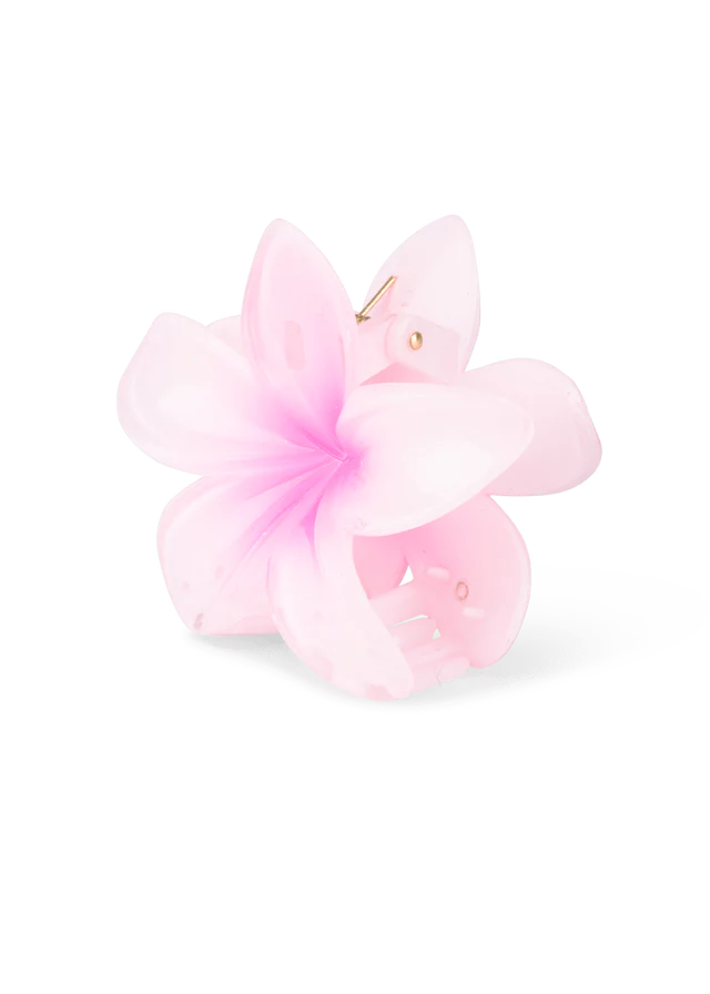 Plumeria Hawaii Big Pink