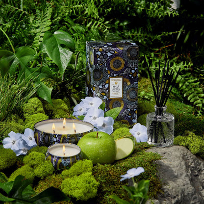 3-Wick Tin Candle – Apple Blue Clover 340g