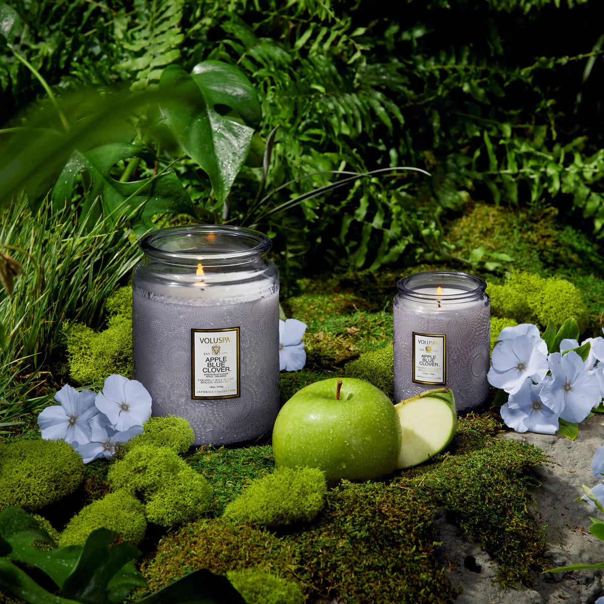 Small Jar Candle – Apple Blue Clover 156g