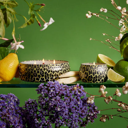 3 Wick Tin Candle - Jardin De Verveine 340g