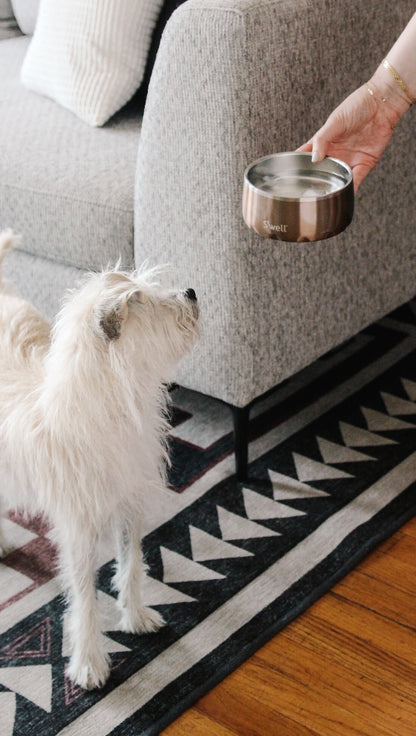 Dog Bowl Pyrite 16oz/473ml